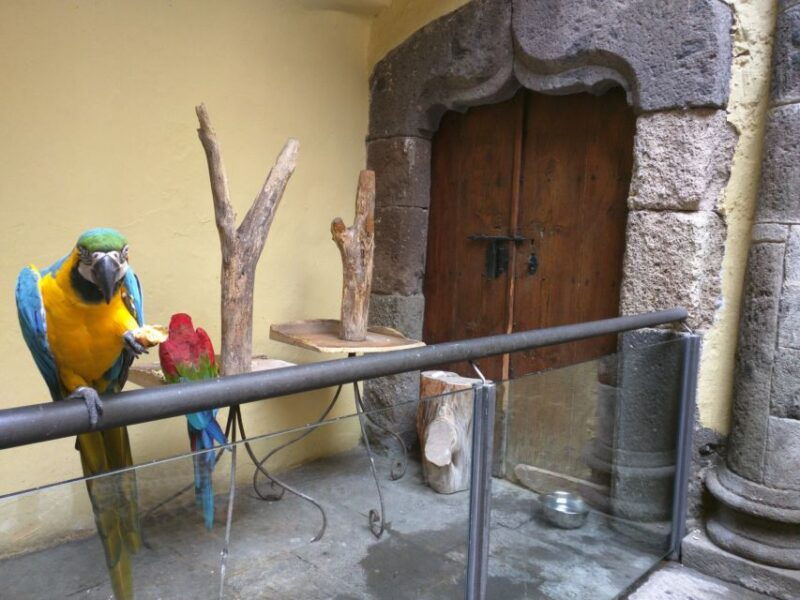 las-palmas-private-old-city-guided-walking-tour-with-tapas