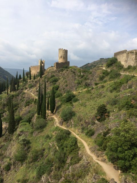 lastours-vineyard-minerve-canal-du-midi-from-carcassonne