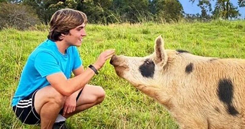 laupahoehoe-farm-animal-sanctuary-private-tour
