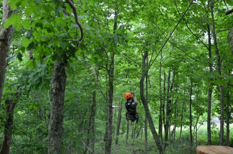 lexington-fully-guided-zipline-canopy-tour