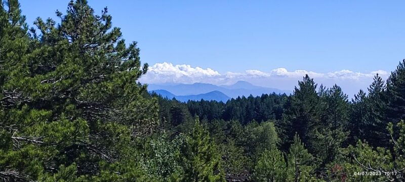 linguaglossa-north-etna-guided-forest-walking-tour