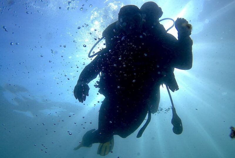 lisbon-eco-friendly-beginners-scuba-diving