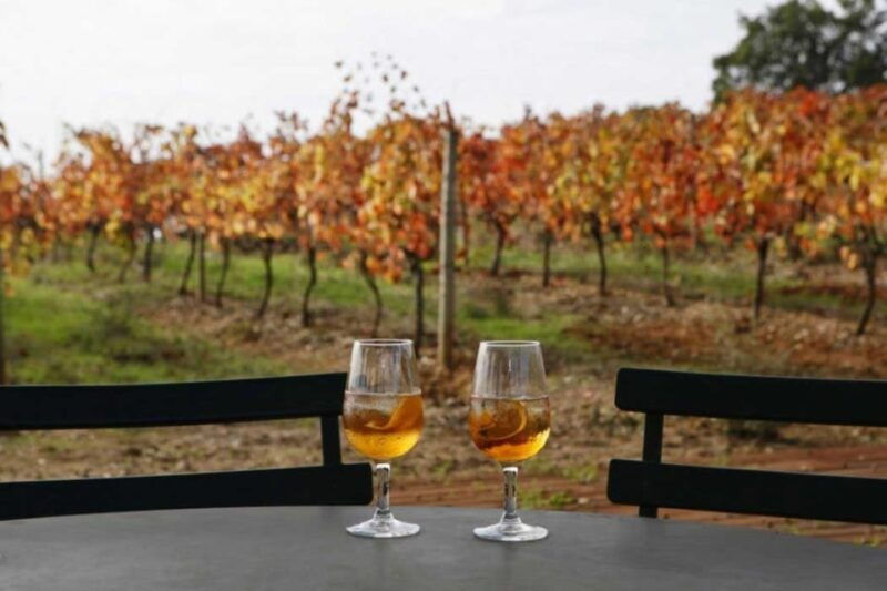 lisbon-setubal-arrabida-and-azeitao-private-wine-tour