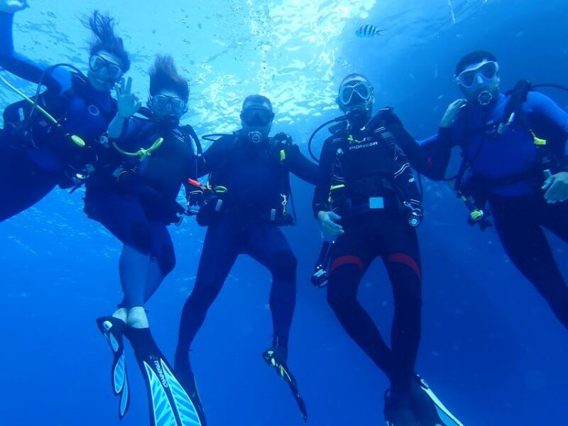 lisbon-try-dive-in-arrabida-marine-reserve-setubal-sesimbra