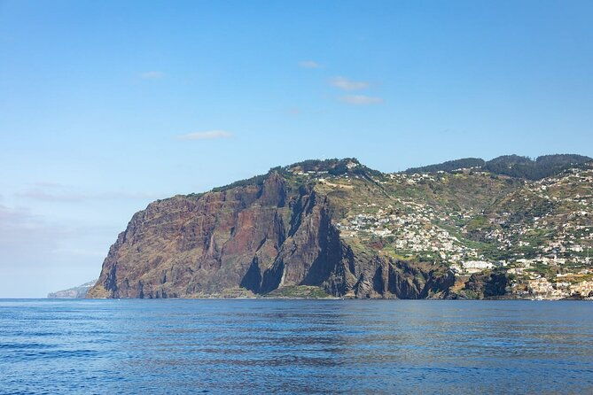 living-sea-boat-trip-in-madeira-from-funchal