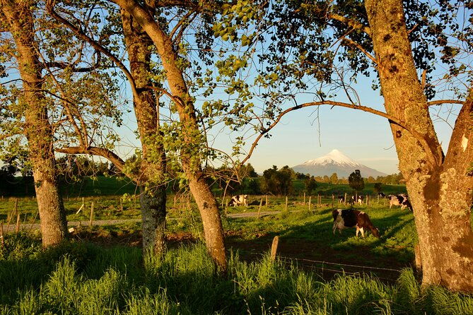 llanquihue-lake-tour