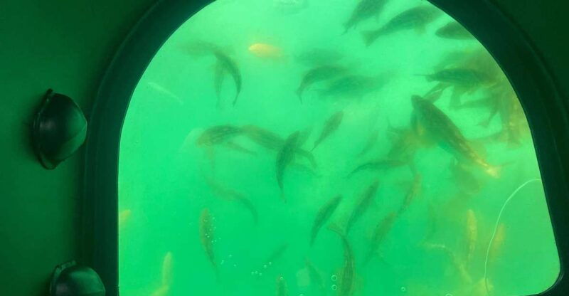 long-beach-glass-bottom-boat-harbor-ecotour