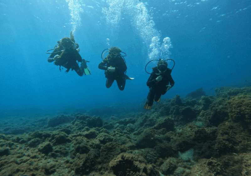 los-cristianos-basic-diver-course