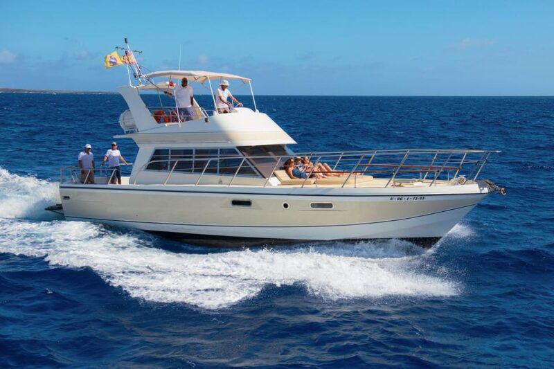 los-cristianos-whale-watching-tour-and-swimming-in-the-sea-on-a-yacht-for-22-persons