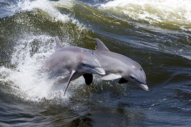 lowcountry-lunch-buffet-cruise-in-hilton-head