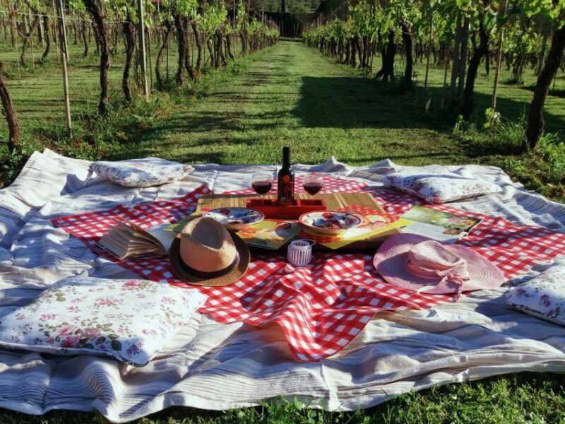 lucca-picnic-lunch-at-a-vineyard-by-bike