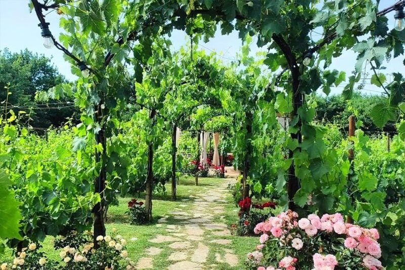 lunch-in-the-garden-and-wine-tasting