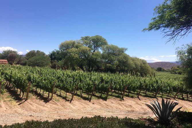 luxury-colome-wine-tour