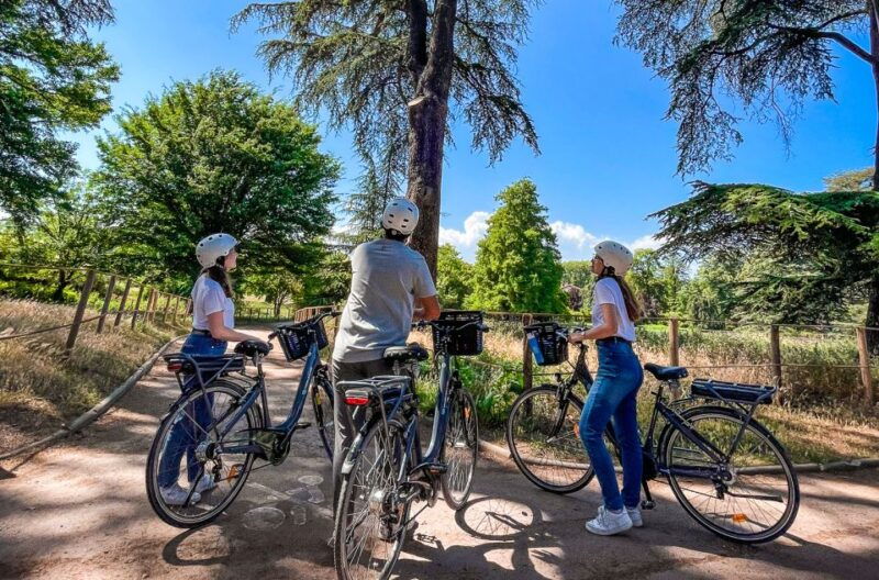 lyon-tete-dor-park-ebike-tour