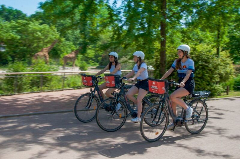 lyon-the-great-ebike-tour