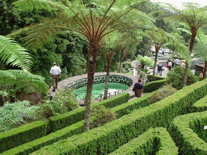 madeira-east-island-tour-and-levada-walk