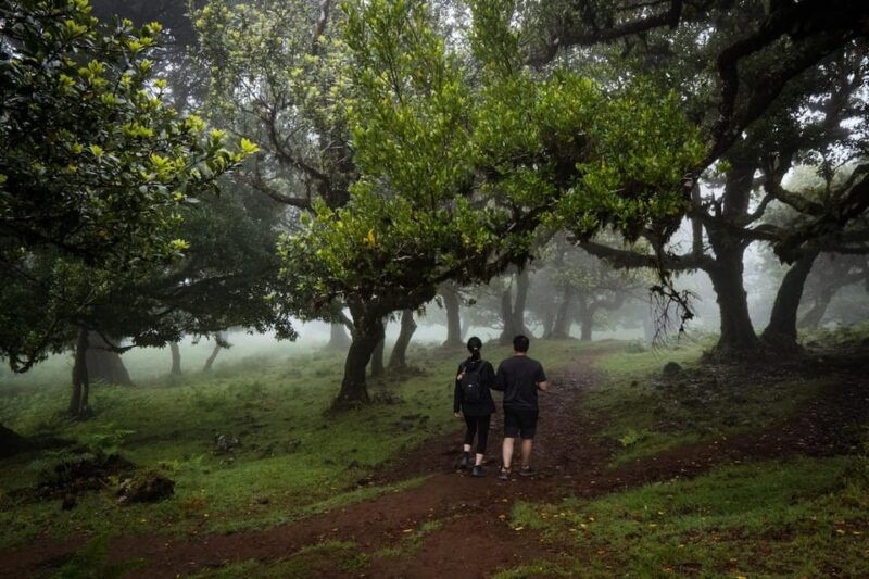 madeira-full-day-adult-only-west-4x4-tour