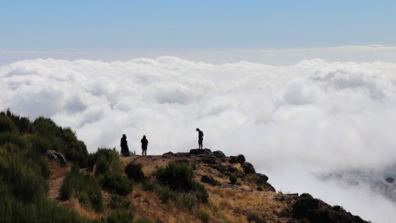 madeira-full-day-private-jeep-tour-east-or-west