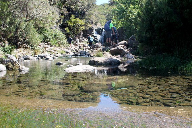 madeira-lakes-levada-do-alecrim