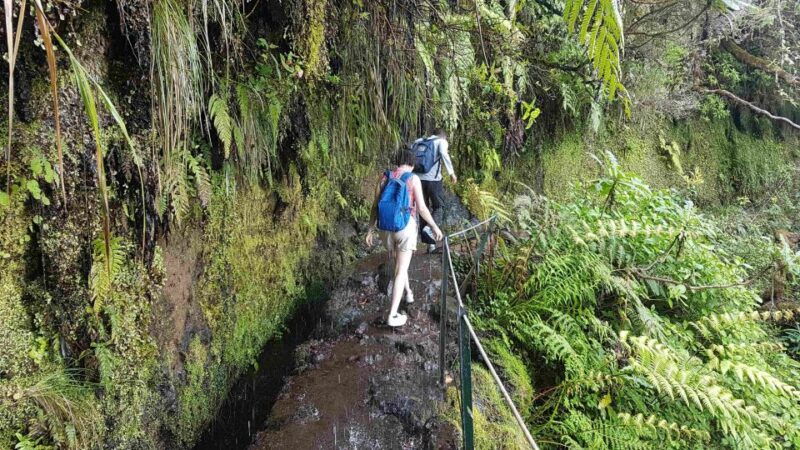 madeira-private-guided-levada-caldeirao-verde-walk-pr9