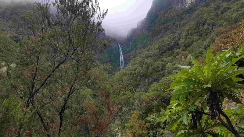 madeira-private-walking-tour-of-levada-das-25-fontes-pr6