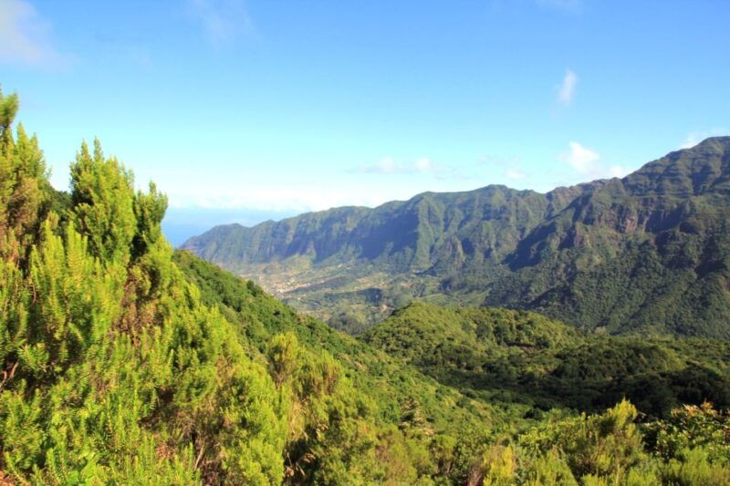 madeira-wine-safari-jeep-tour-with-local-guide