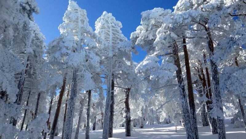 madrid-4-hour-snowshoe-hiking