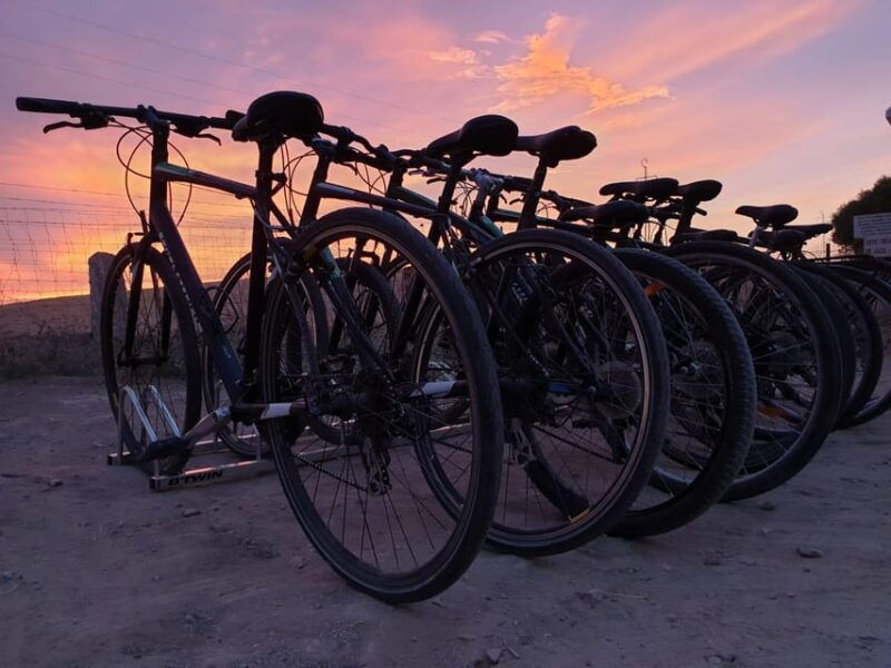 madrid-bike-rental