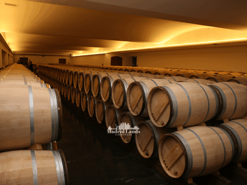 madrid-luxury-winery-emilio-moro-tour