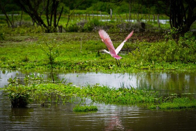 magdalena-river-safari-6-hours