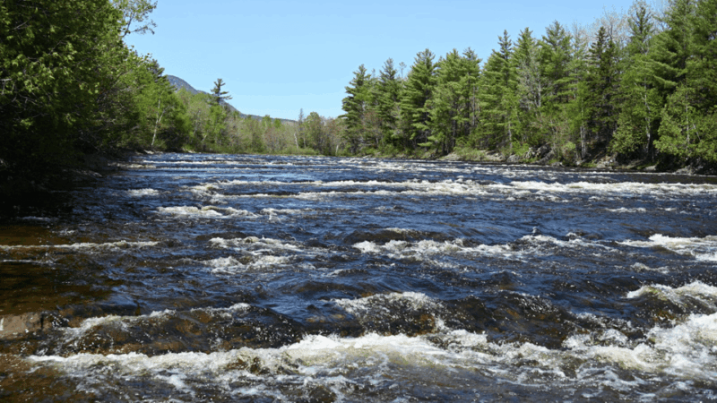 maine-penobscot-river-boat-charter-guided-tour