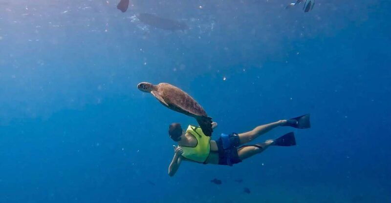 malaga-boat-tour-w-snorkeling-water-activities-and-lunch