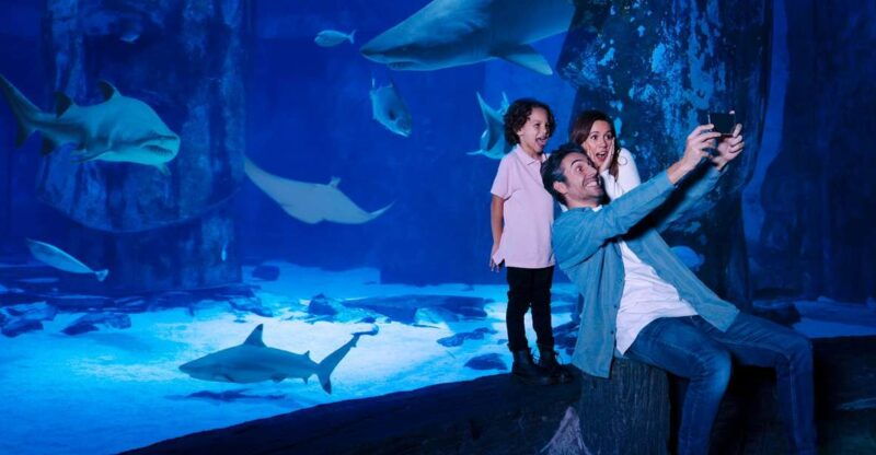 mall-of-america-sea-life-minnesota-aquarium-entry-ticket