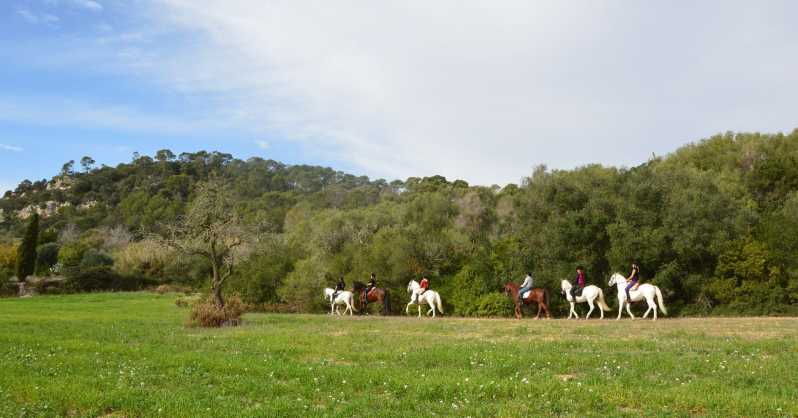 mallorca-activity-antique-mallorca-with-picnic