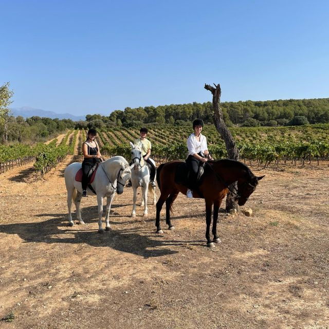 mallorca-activity-with-horses-antique-mallorca
