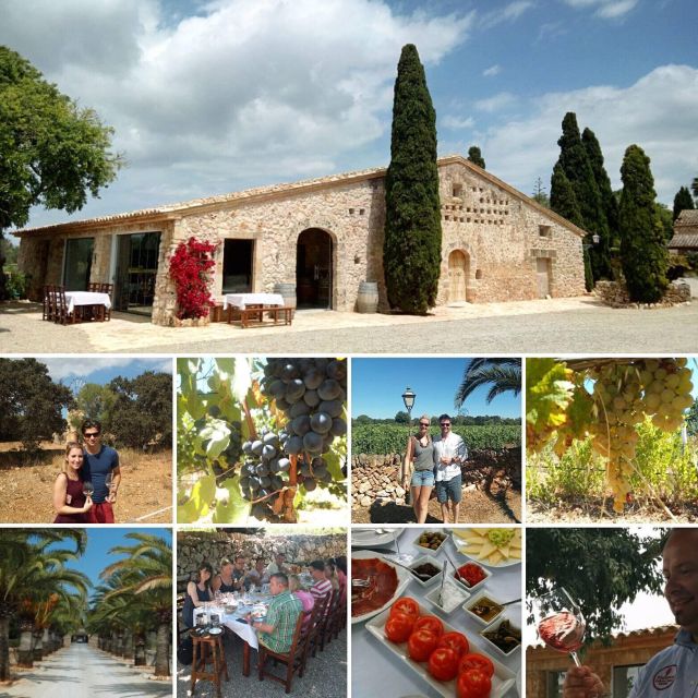 mallorca-private-wine-tour-with-tasting-and-picnic
