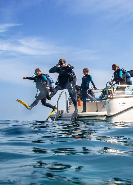 mallorca-scuba-diving-a-dive-from-the-boat-for-certified-divers