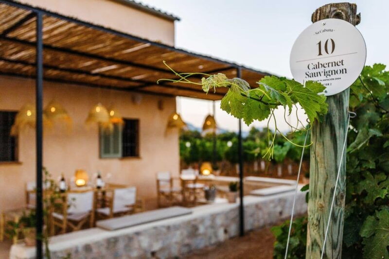 mallorca-sunset-wine-tasting-minibus-tour-english-guide