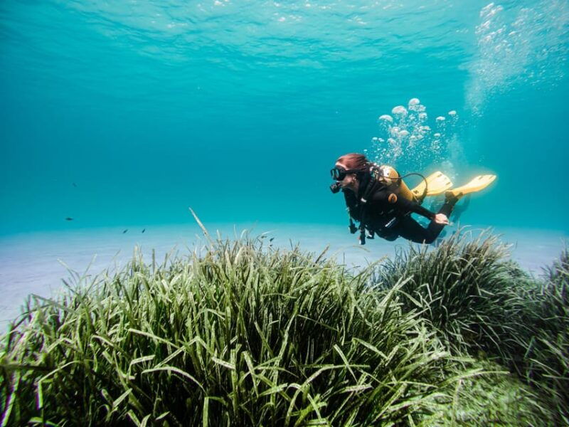 mallorca-try-scuba-diving-by-boat