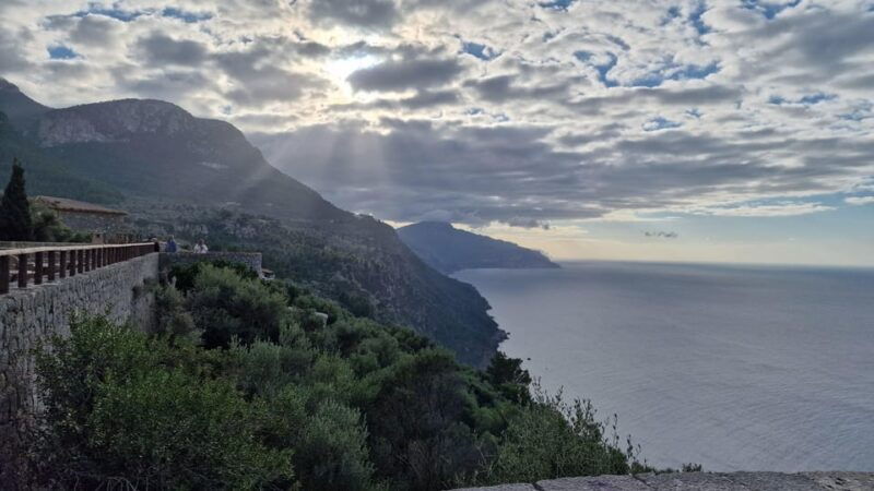 mallorca-west-coast-orange-valley-minibus-tour-german-guide