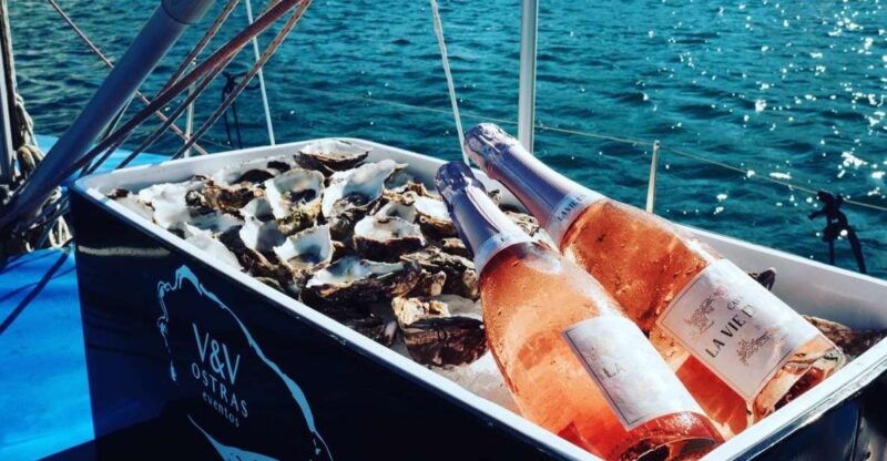 marbella-puerto-banus-private-sailing-cruise-with-drinks