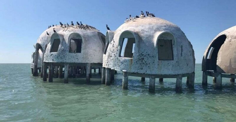 marco-island-ten-thousand-islands-shelling-dolphin-tour
