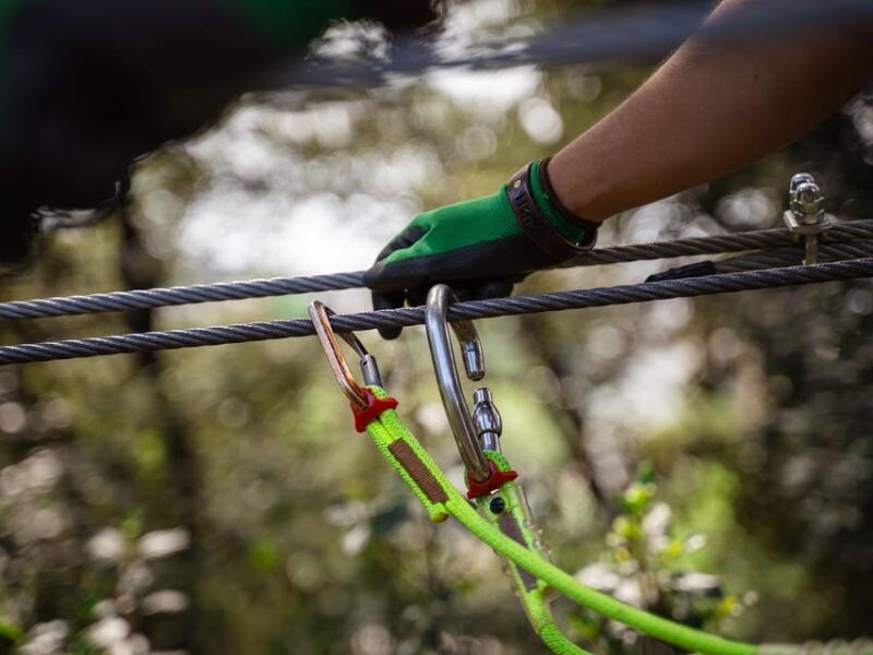marseille-ecopark-adventures-treetop-adventure