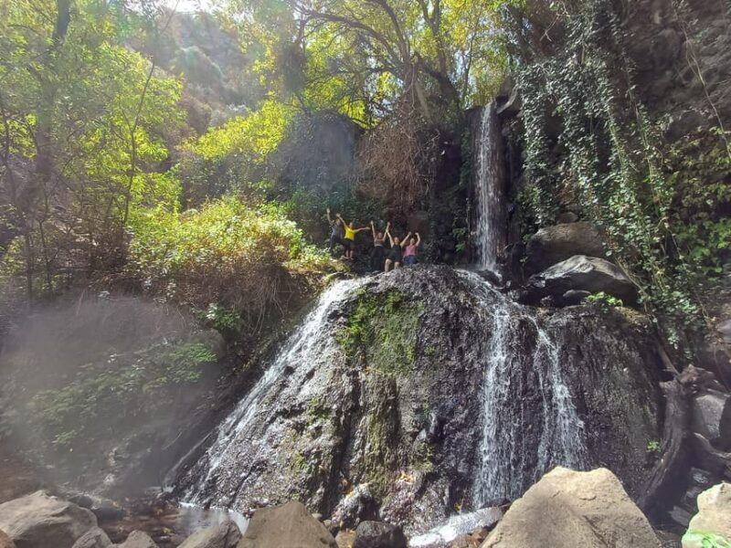 maspalomas-barranco-de-los-cernicalos-rainforest-hike