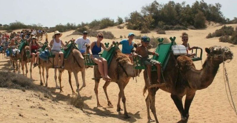 maspalomas-guided-camel-ride-in-the-maspalomas-sand-dunes