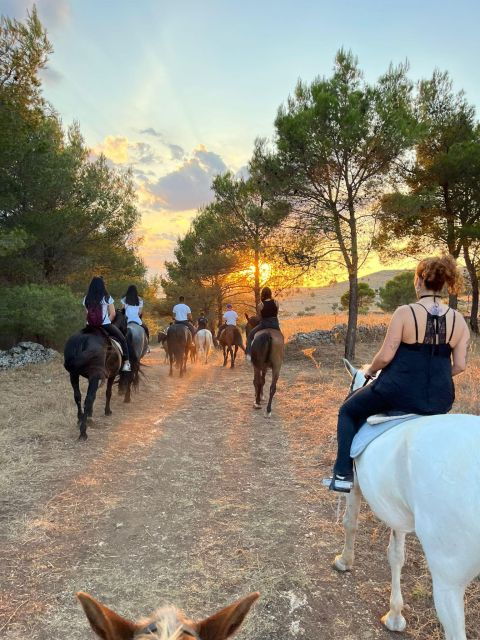 matera-sunset-horseback-riding-tour-on-murgia