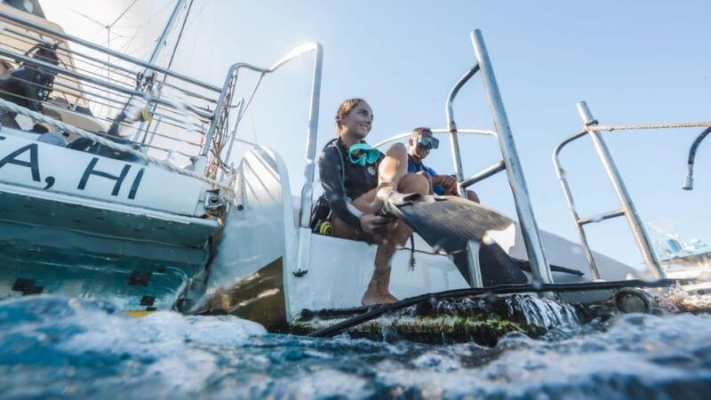 maui-alii-kai-turtles-tacos-snorkel-sail