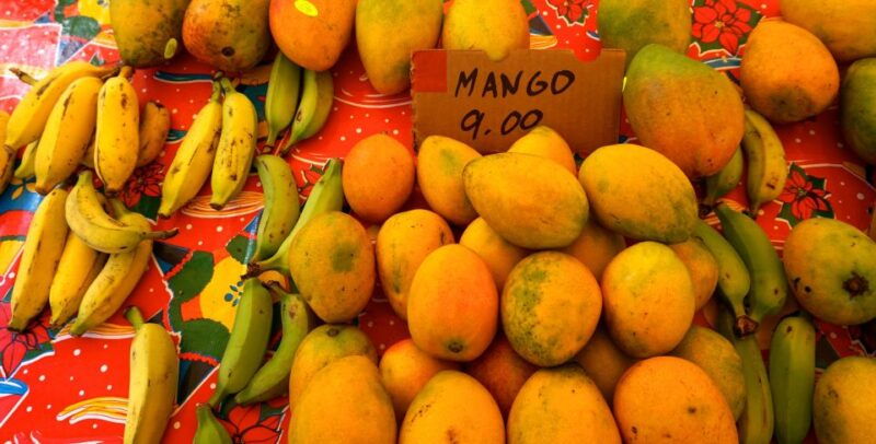 maui-private-guided-halfway-to-hana-tour