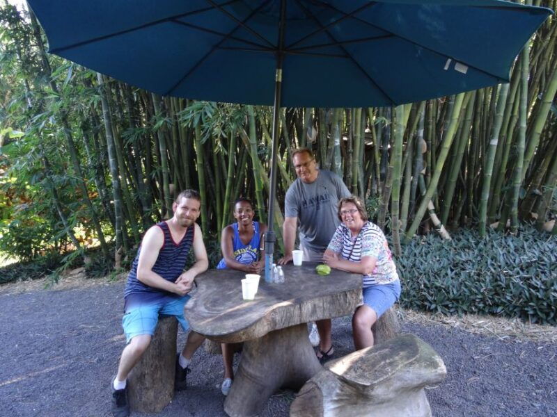 maui-road-to-hana-waterfalls-tour-with-lunch