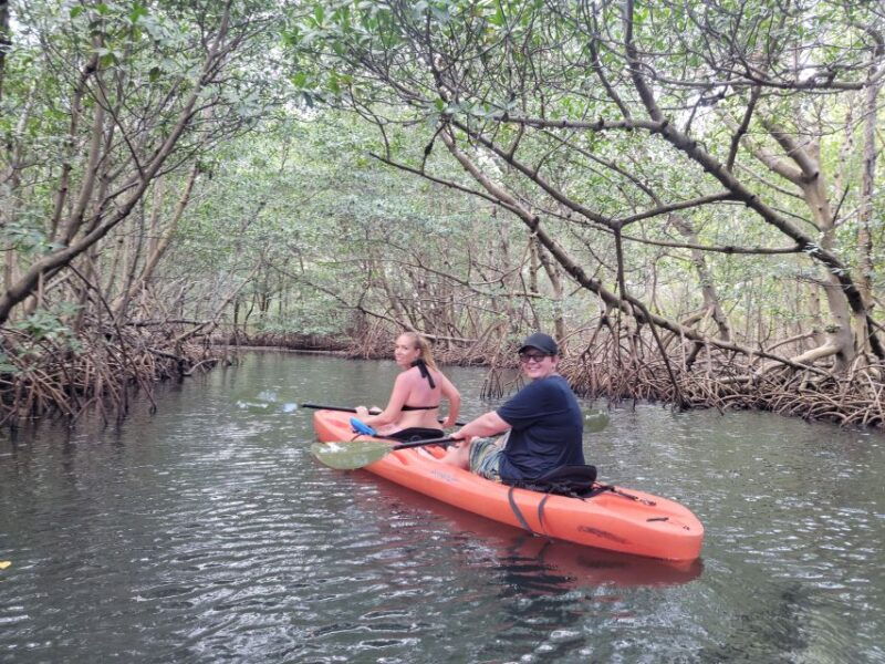miami-beginner-friendly-island-snorkeling-by-sup-or-kayak